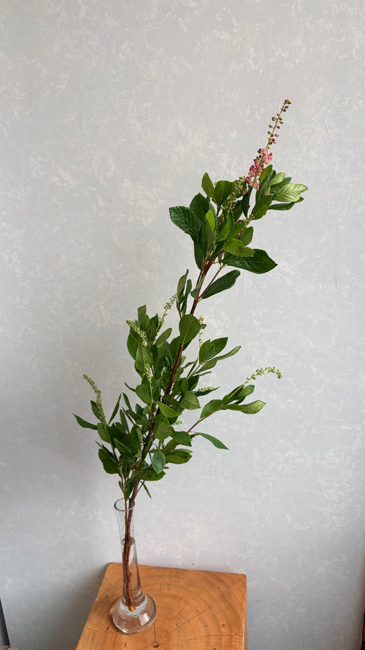 (Clearance Sale) Clethra Ruby Spice