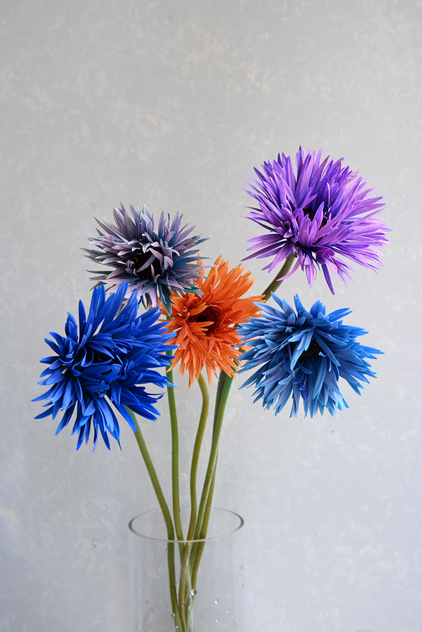 Gerbera Monster Orange