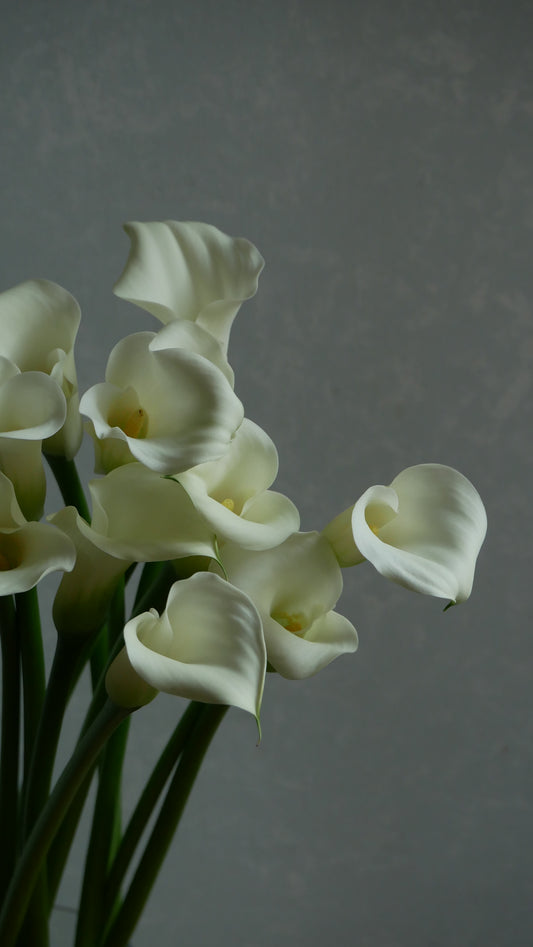 Calla White Flirt (60cm)