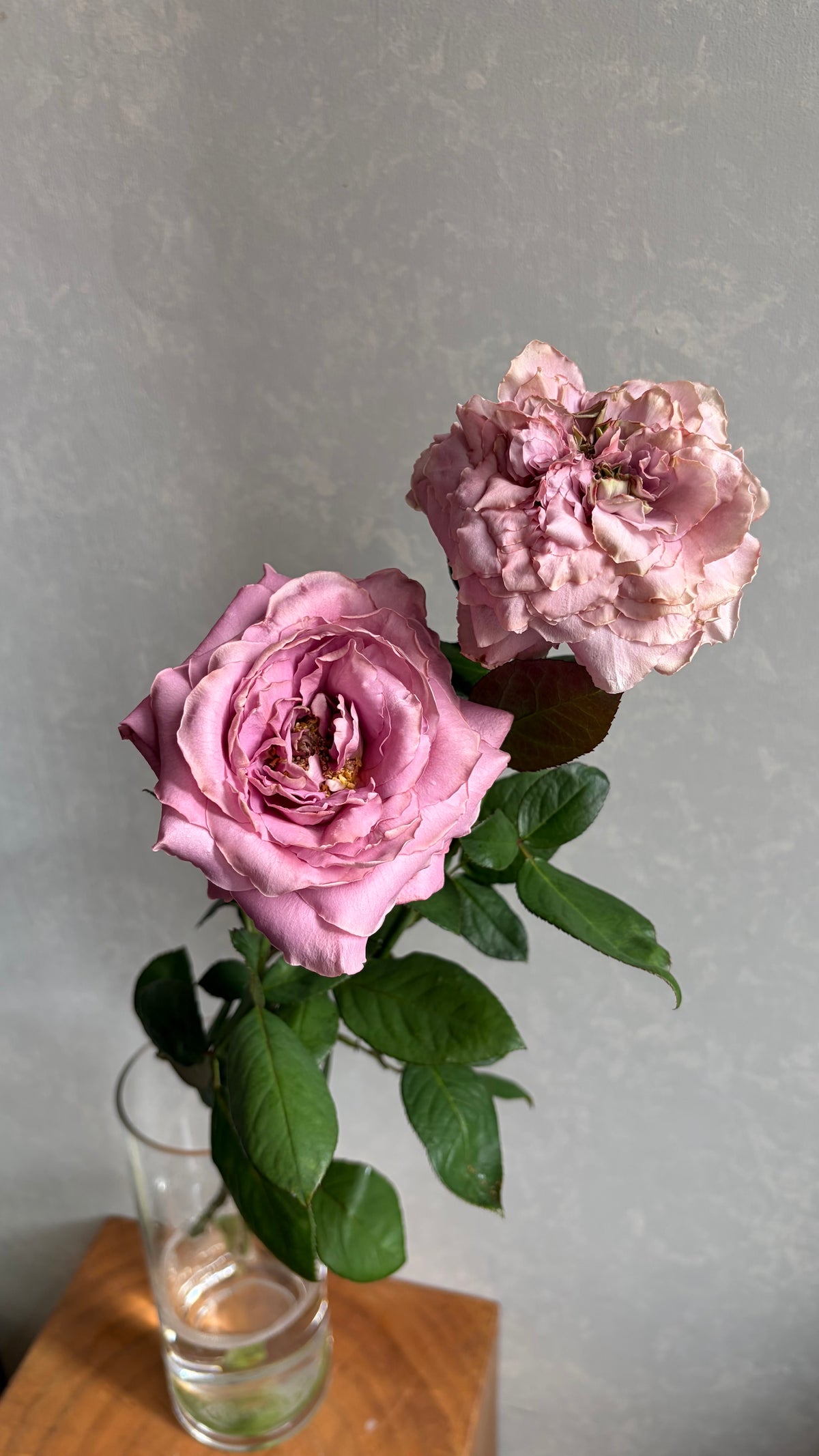 Vase (50cm)