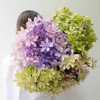 新入荷!! Hydrangea Antique Green