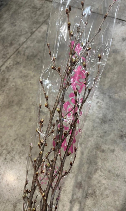 Keio Sakura 80 cm (2 stems w/Sleeve) (CNY Pre Order)