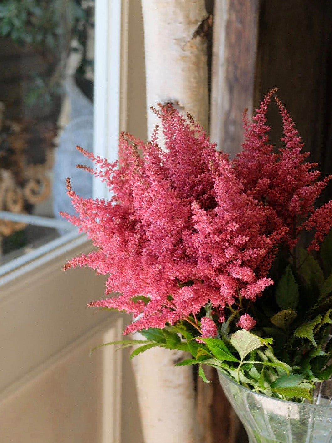 Astilbe Tinted Red (MOQ : 10Stems/Bunch) ETA 25 Jan 2025