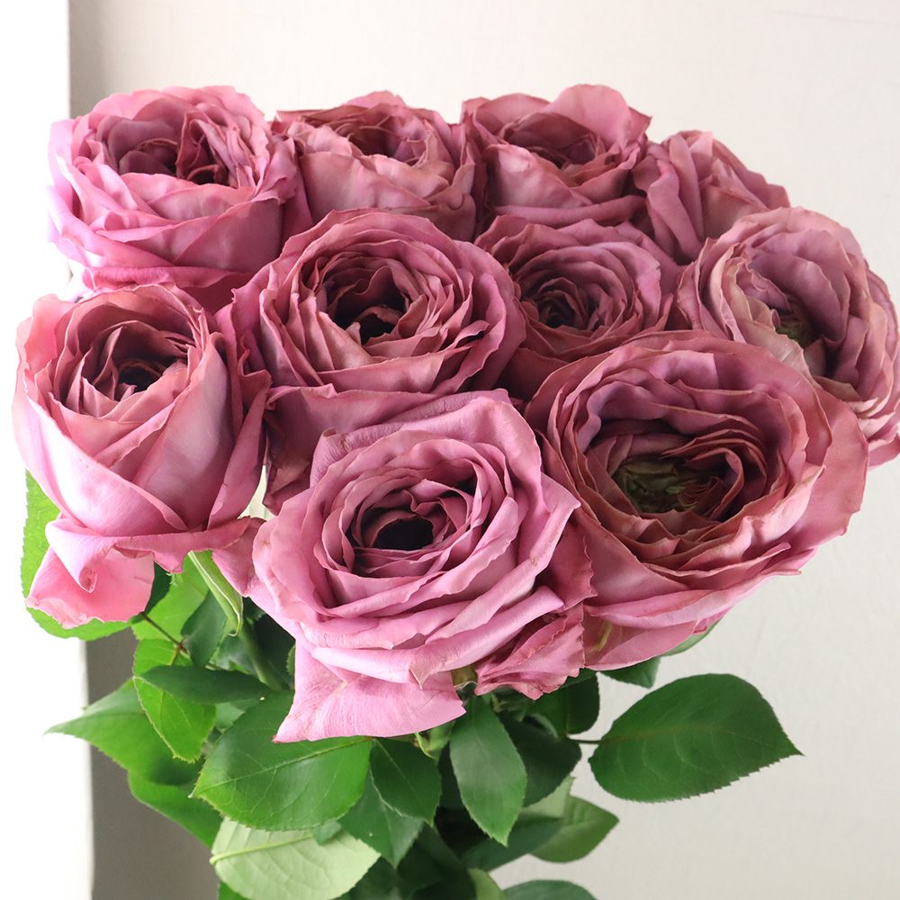 Rosa Vase (60cm)