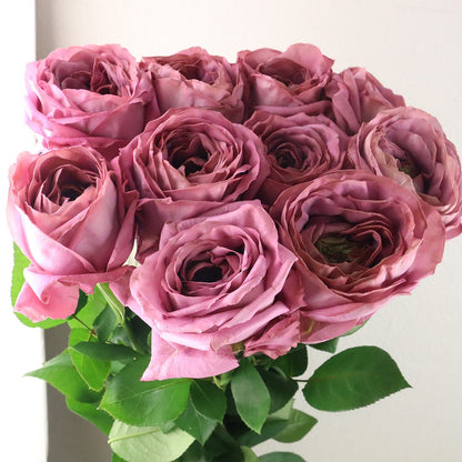 Rosa Vase (60cm)