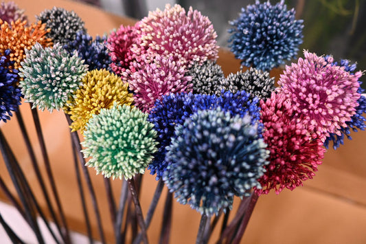 (Clearance Sales) Allium (Tinted) (秀 100cm)