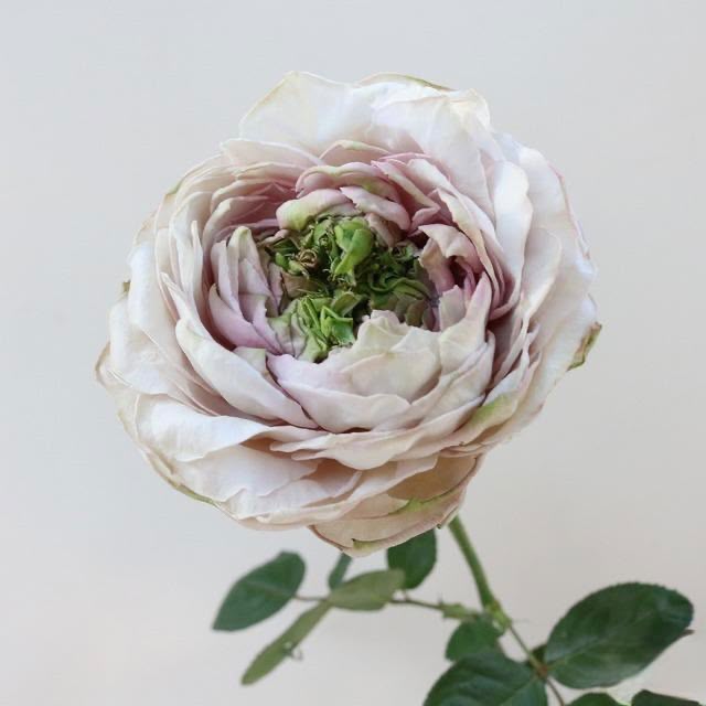Ciel Vase (50cm)