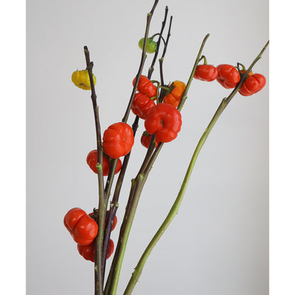 新入荷!! 【月見】Solanum Pumpkin (80cm)