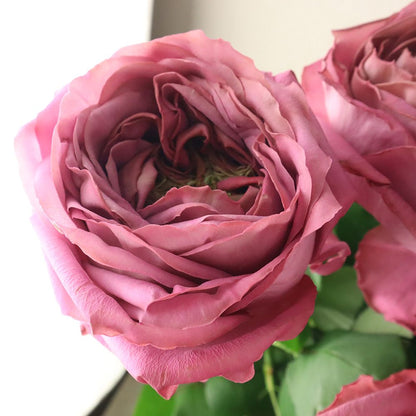 Rosa Vase (60cm)