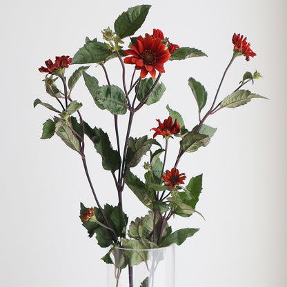 Helianthus Bleeding Hearts